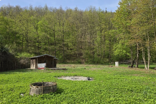 Prodej pozemku/zahrady (1038m2) v přírodním parku Údolí Bílého potoka, Veverská Bítýška.