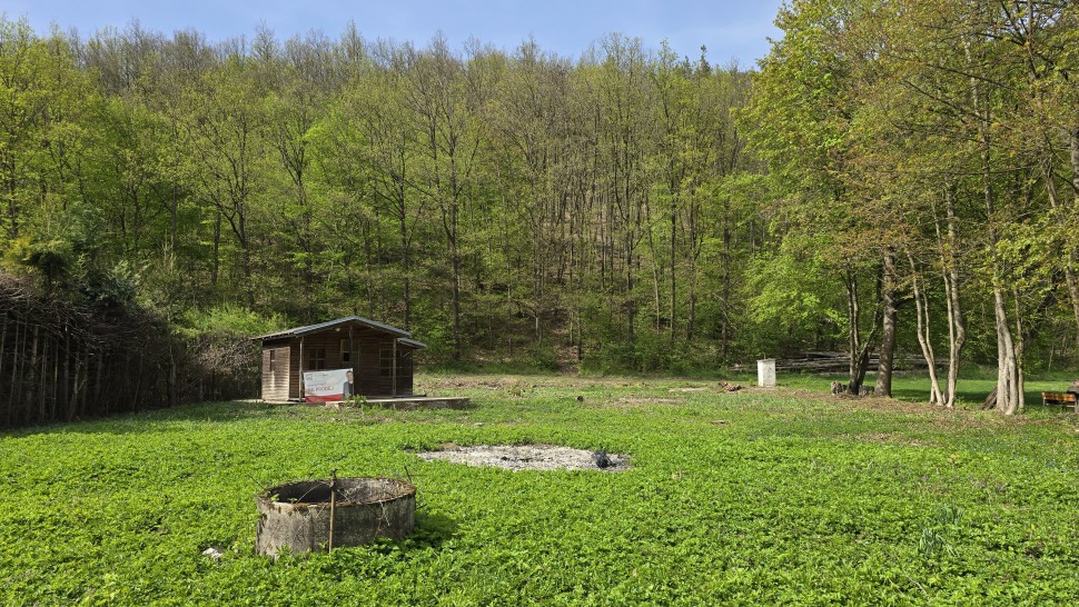 Prodej pozemku/zahrady (1038m2) v přírodním parku Údolí Bílého potoka, Veverská Bítýška.