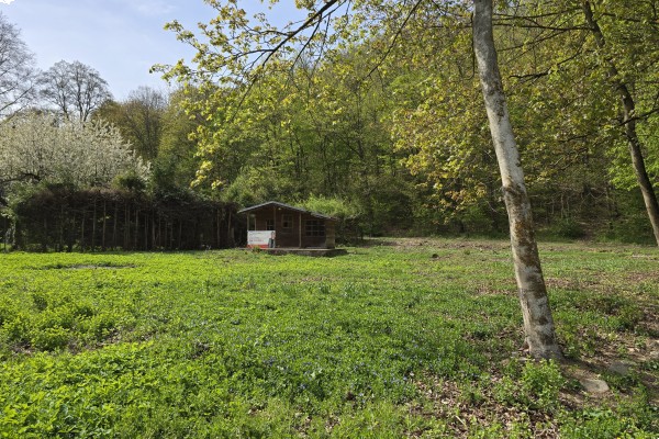 Prodej pozemku/zahrady (1038m2) v přírodním parku Údolí Bílého potoka, Veverská Bítýška.