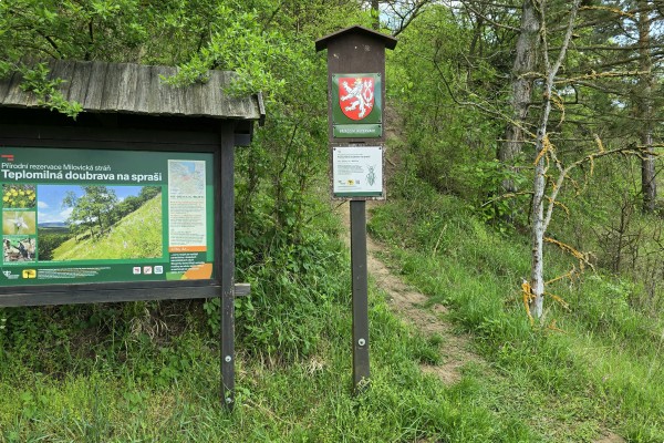 Stavební pozemek o výměře 781m2, v obci Milovice u Mikulova