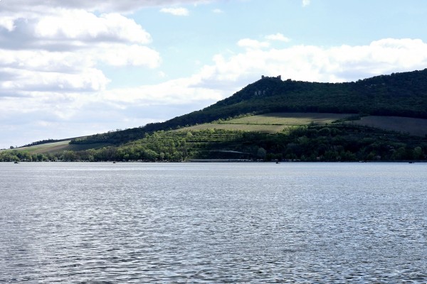 Stavební pozemek o výměře 781m2, v obci Milovice u Mikulova