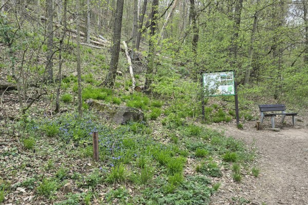 Pronájem bytu 1+1 (35m2) s balkonem a sklepem, Tišnov, Dřínová