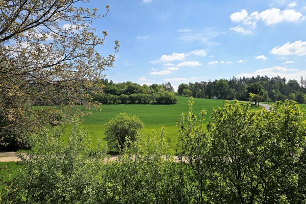 Prodej RD 4+1 (170m2) na pozemku o výměře 979m2 v obci Střítež na Vysočině.