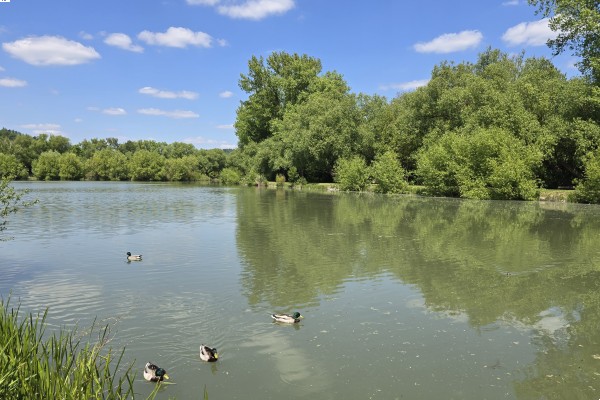 Pronájem bytu 2+KK (47m2) se dvěma lodžiemi, Kuřim, Wolkerova 947