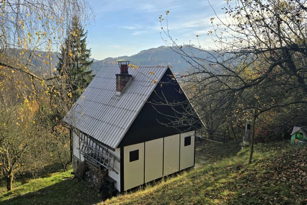 Prodej chaty (45m2), pozemek 768m2 Nedvědice č.e. 87