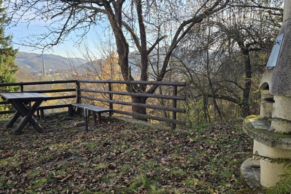 Prodej chaty (45m2), pozemek 768m2 Nedvědice č.e. 87