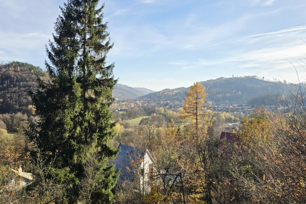 Prodej chaty (45m2), pozemek 768m2 Nedvědice č.e. 87