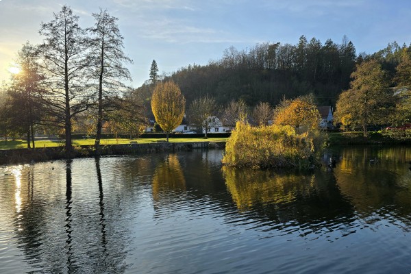 Prodej chaty (45m2), pozemek 768m2 Nedvědice č.e. 87