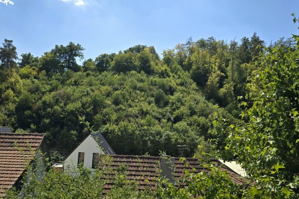 Prodej RD 2KK (56m2) na pozemku 245m2 , Bílovice nad Svitavou, ul. Husova 490 + nedaleká zahrada o výměře 819m2.