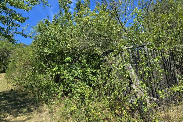 Prodej RD 2KK (56m2) na pozemku 245m2 , Bílovice nad Svitavou, ul. Husova 490 + nedaleká zahrada o výměře 819m2.