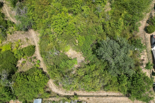 Prodej RD 2KK (56m2) na pozemku 245m2 , Bílovice nad Svitavou, ul. Husova 490 + nedaleká zahrada o výměře 819m2.