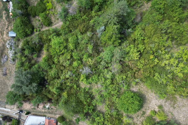 Prodej RD 2KK (56m2) na pozemku 245m2 , Bílovice nad Svitavou, ul. Husova 490 + nedaleká zahrada o výměře 819m2.