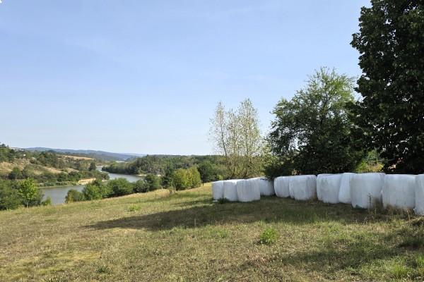 Prodej stavebního pozemku (1980m2), Křetín